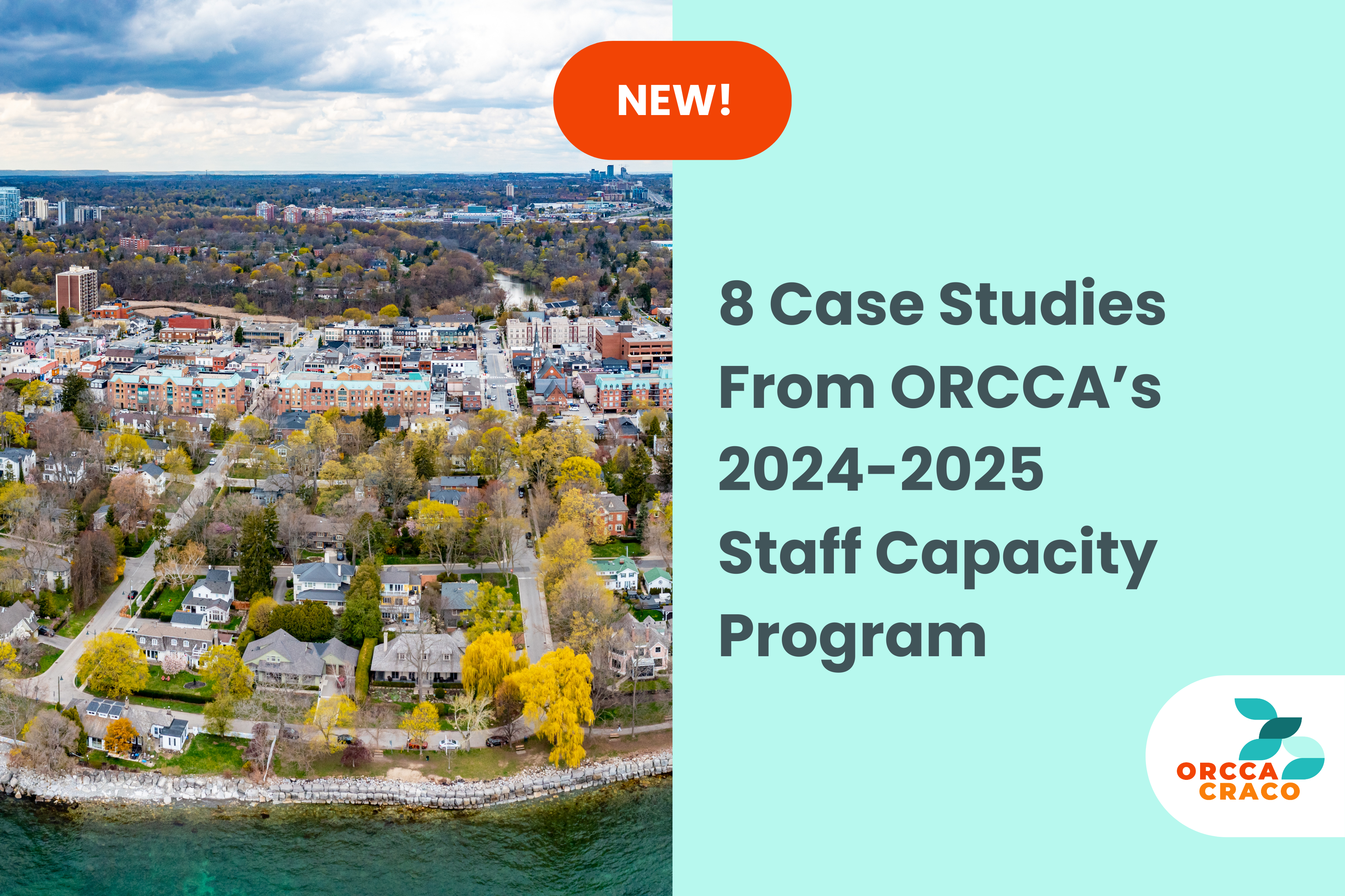 2024-2025 Case Studies